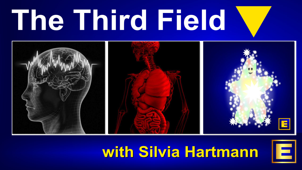 The Third Field with Silvia Hartmann